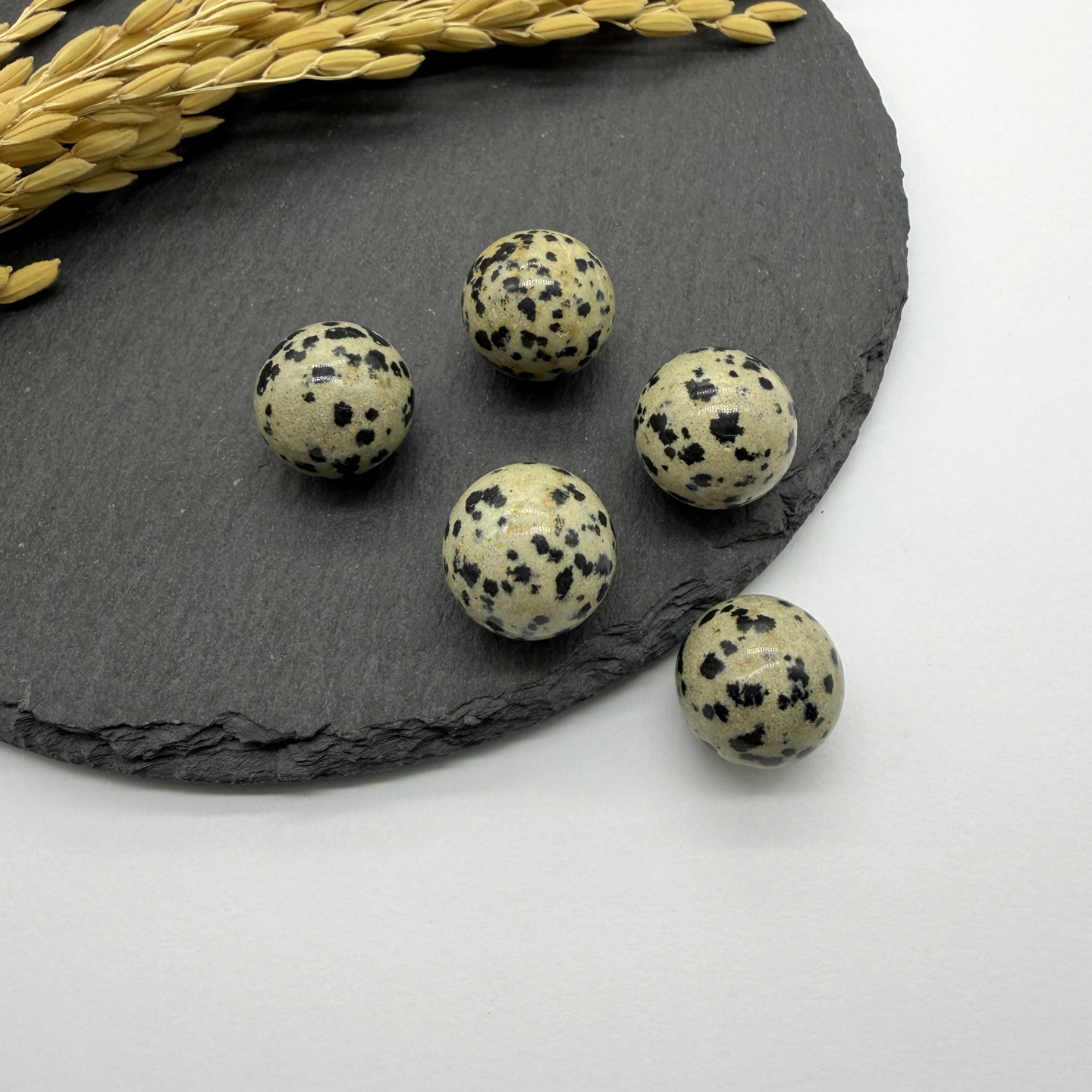 One spotted stone