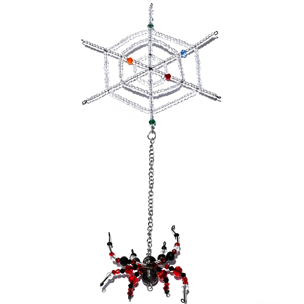 Colorful spider web + black and white brown spider