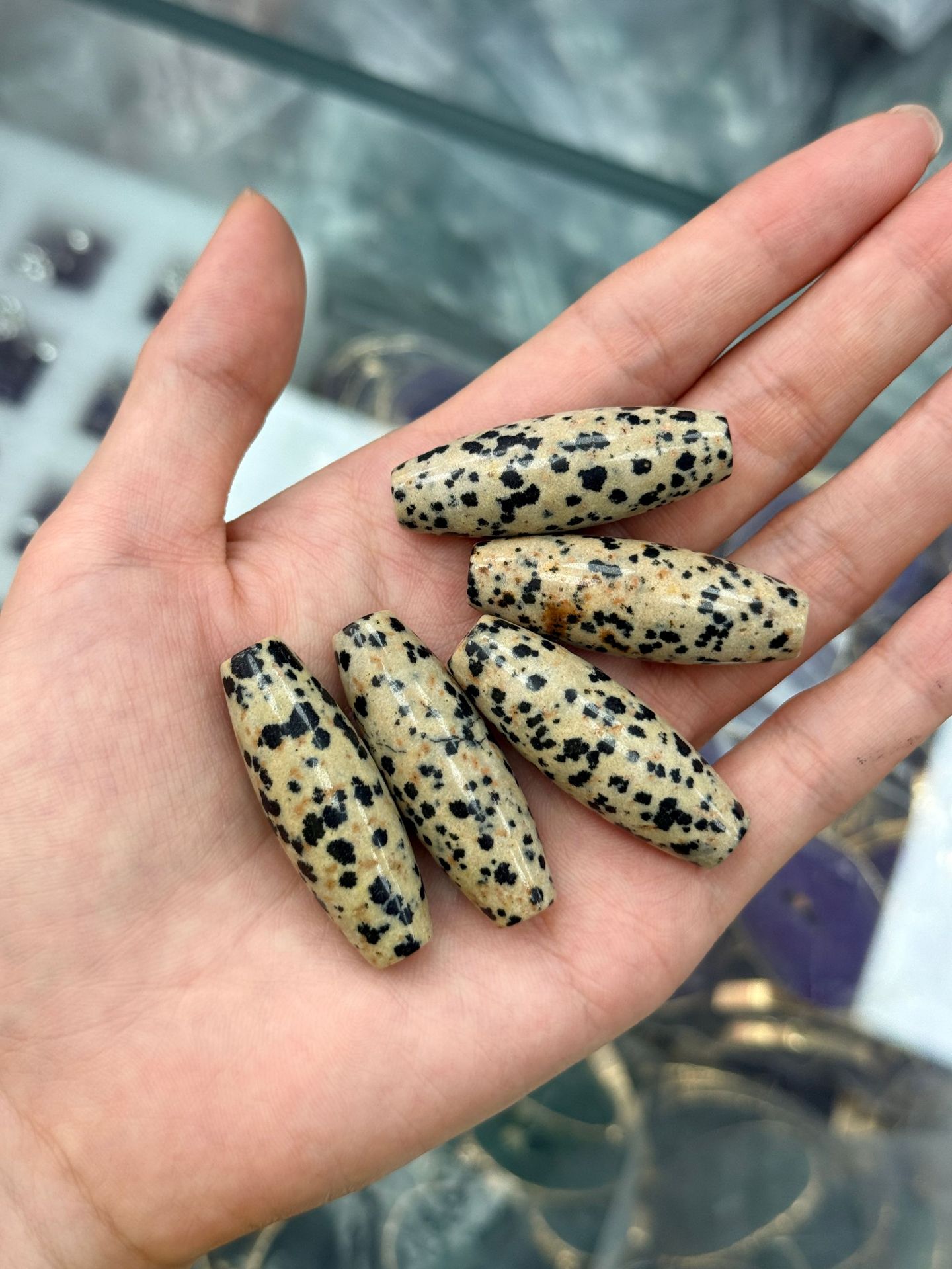 dalmatian