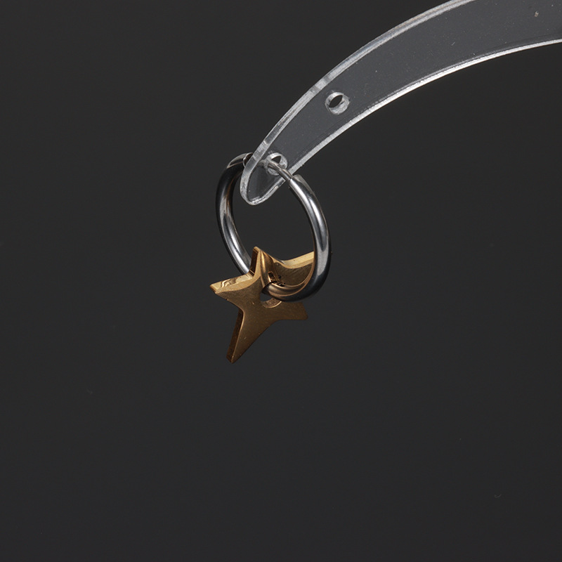 E001 steel earrings Golden five stars, 1