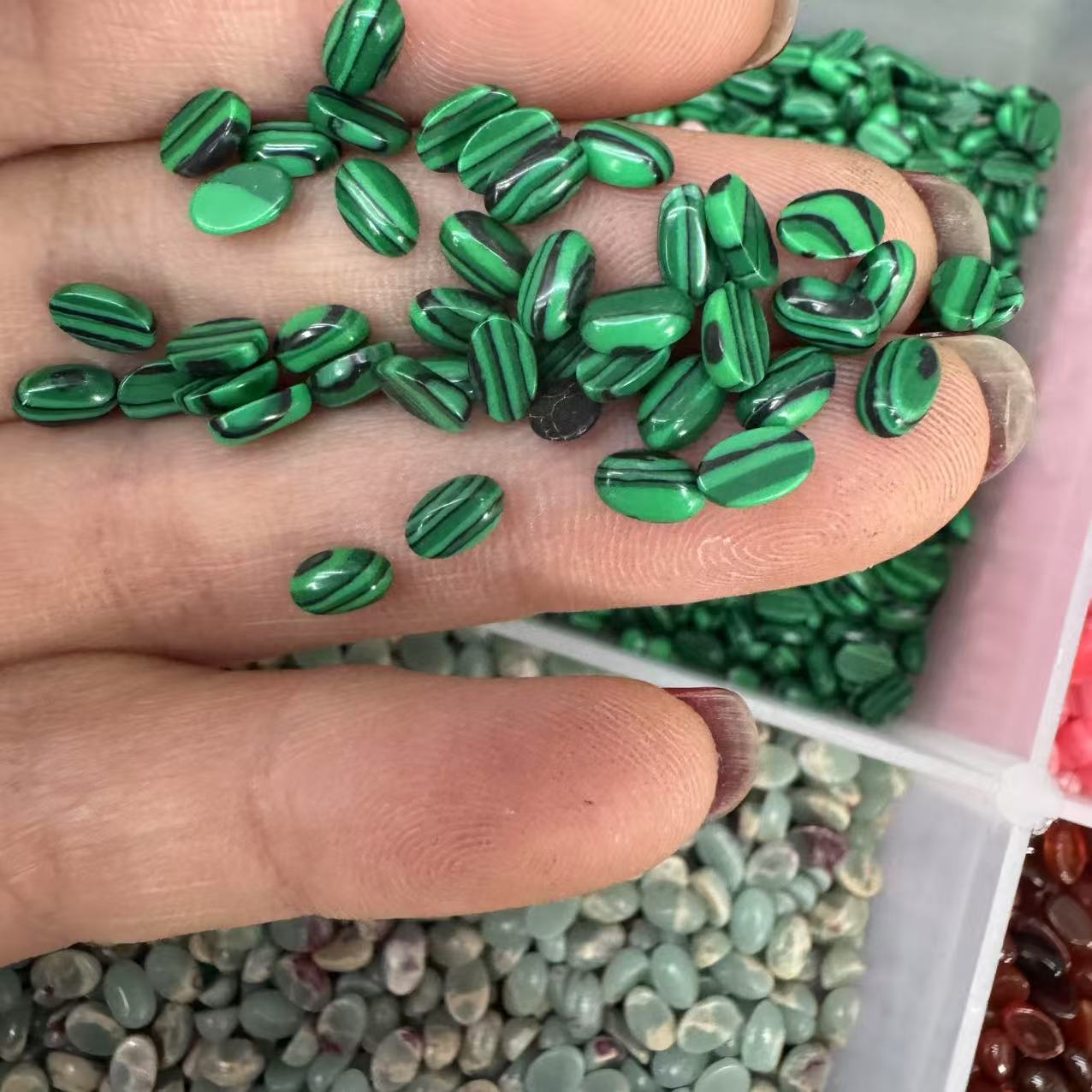 Peacock pine 4*6mm