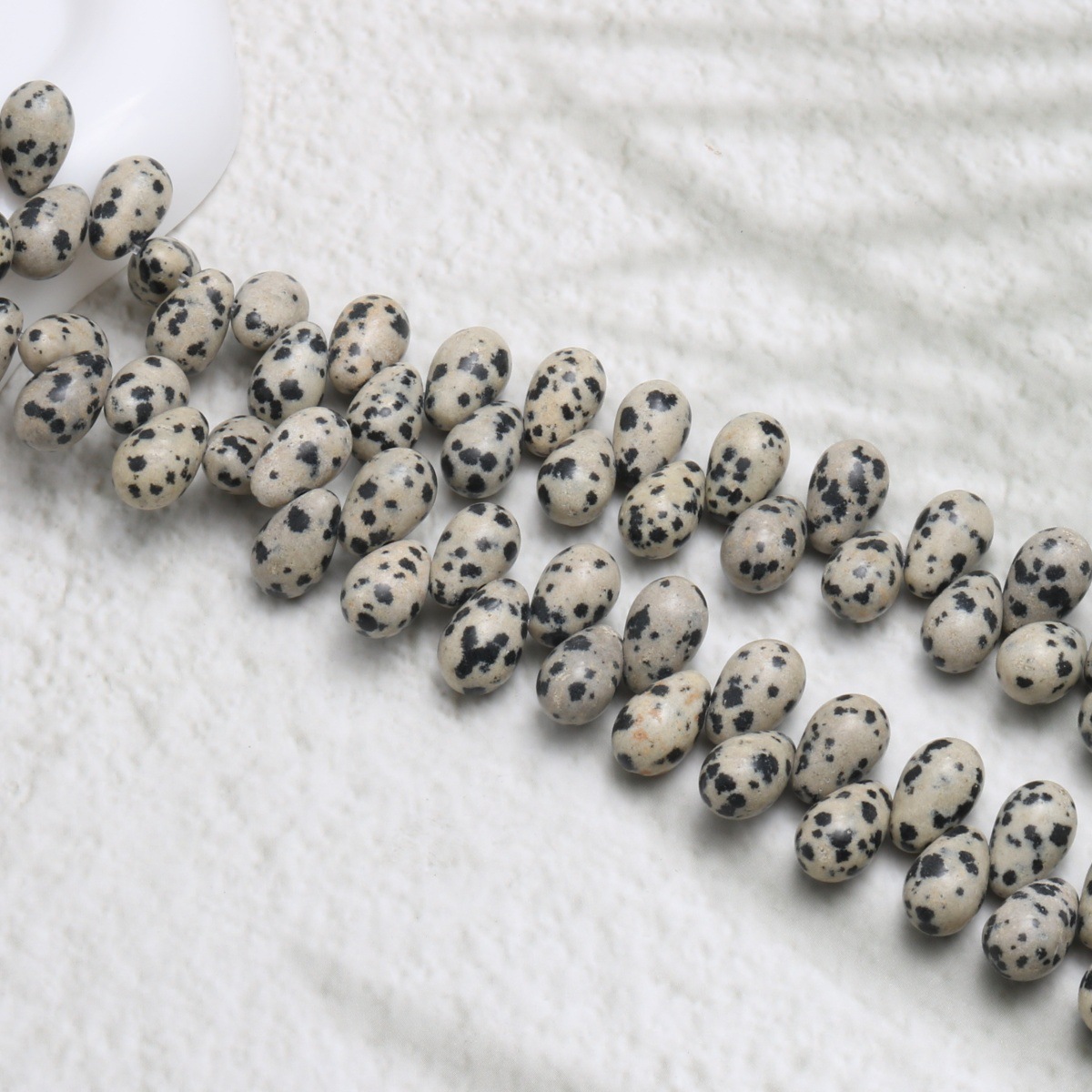 dalmatian