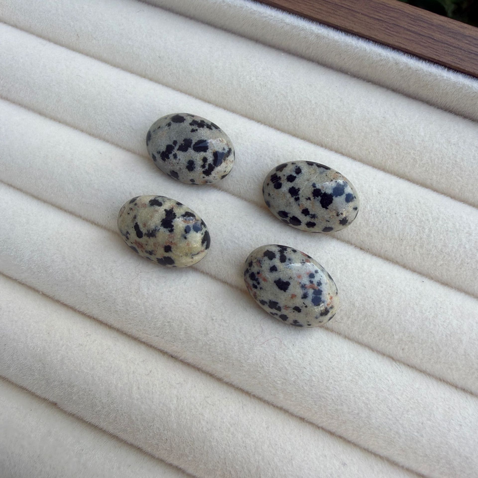 Spotted Stone