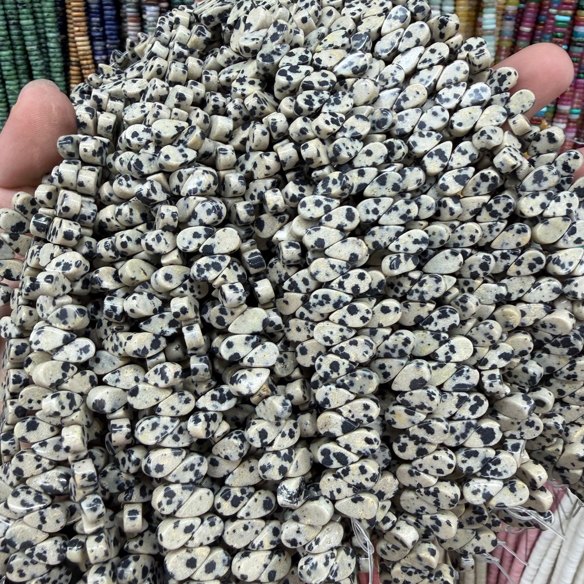 dalmatian