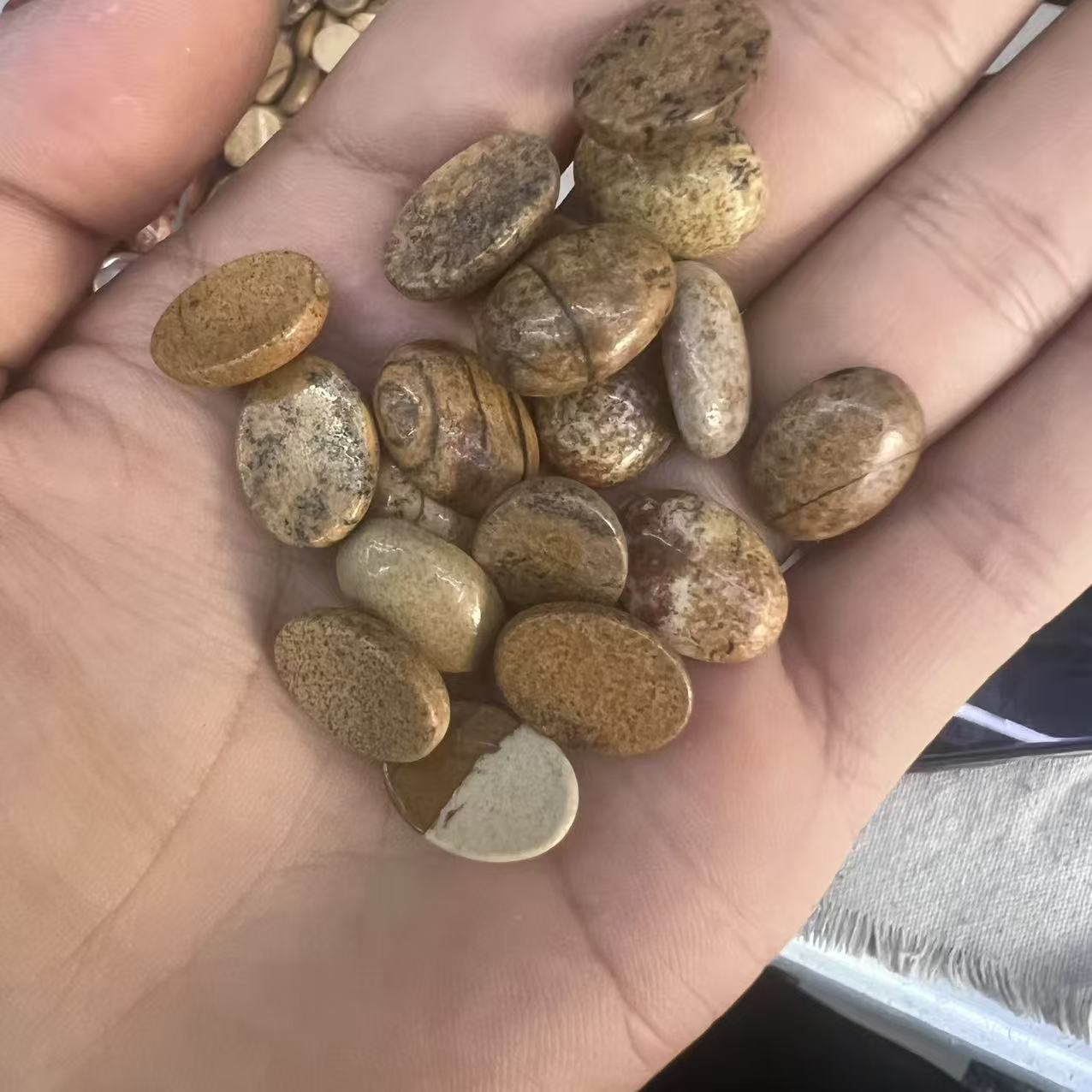 Picture Jasper