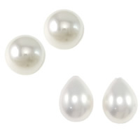 Half Drilled South Sea Shell Beads