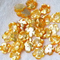 Perles de coquillage jaune naturel